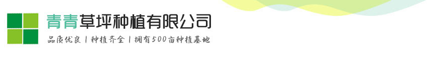 九游(NineGame)体育·官方网站-九游连接体育未来